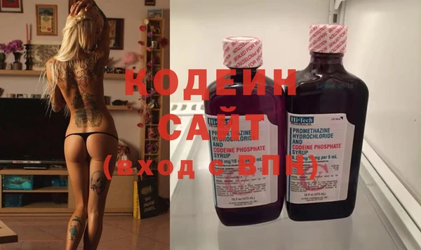 сатива Осинники
