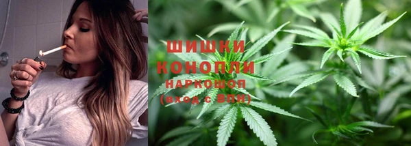 apvp Осташков