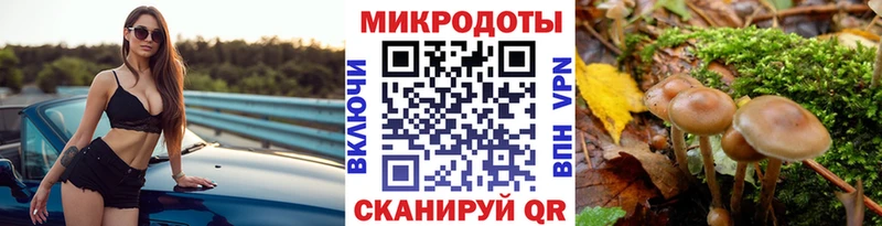 наркота Нарткала hydra вход Галлюциногенные грибы мухоморы